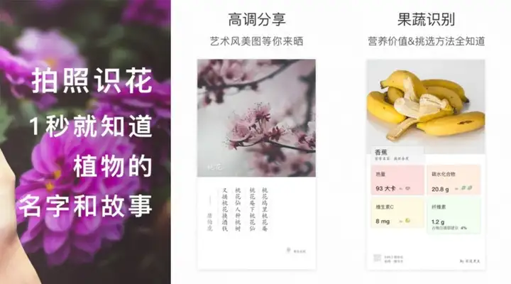 8款小众但实用的安卓APP,每一个都巨好用!