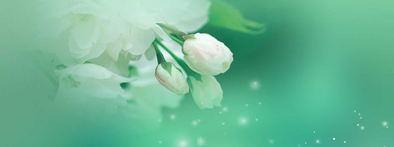 迪士尼不凡童车租赁