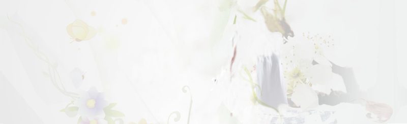 迪士尼不凡童车租赁