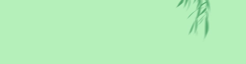 迪士尼不凡童车租赁