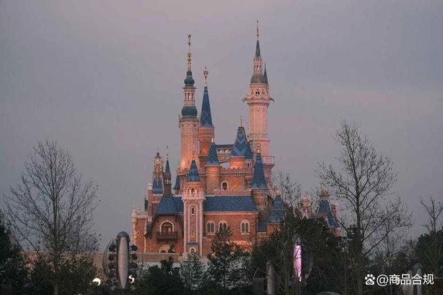 惊呆了！上海迪士尼电动轮椅租赁火爆，旺季竟需预约？